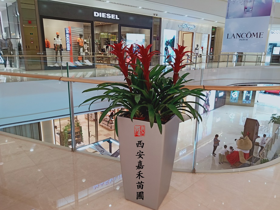 /UploadFiles/image/2020-06-13/5ee4246aba755.jpg /UploadFiles/image/2020-06-13/5ee4246aba755.jpg