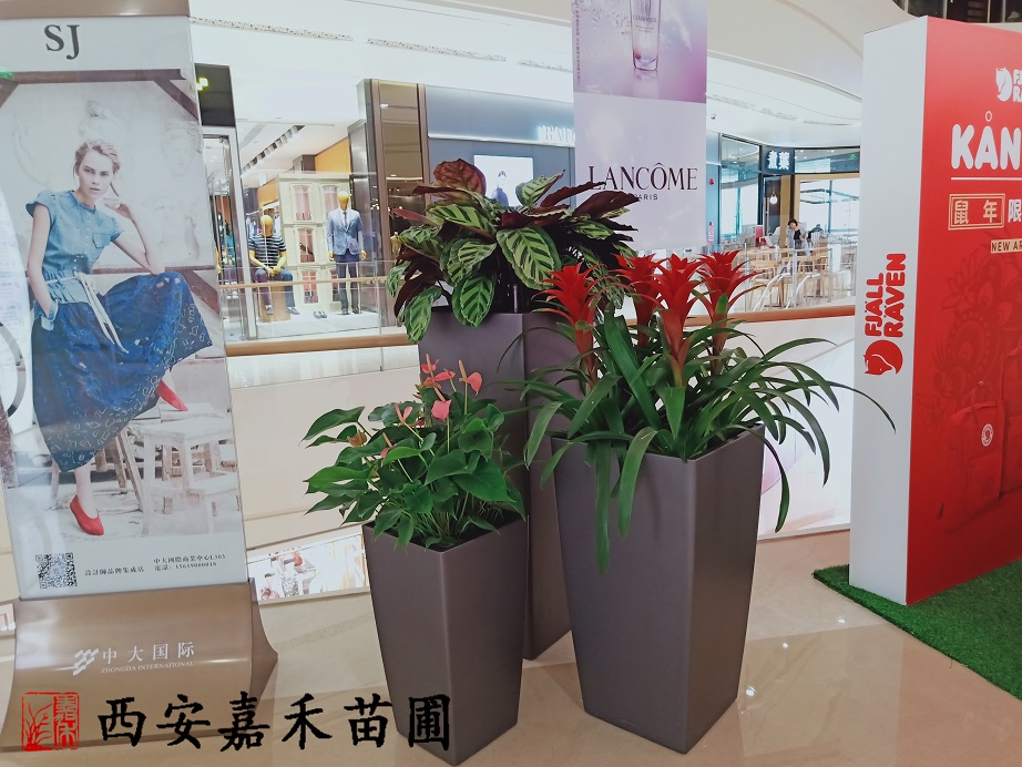 /UploadFiles/image/2020-06-13/5ee4246c29cda.jpg /UploadFiles/image/2020-06-13/5ee4246c29cda.jpg