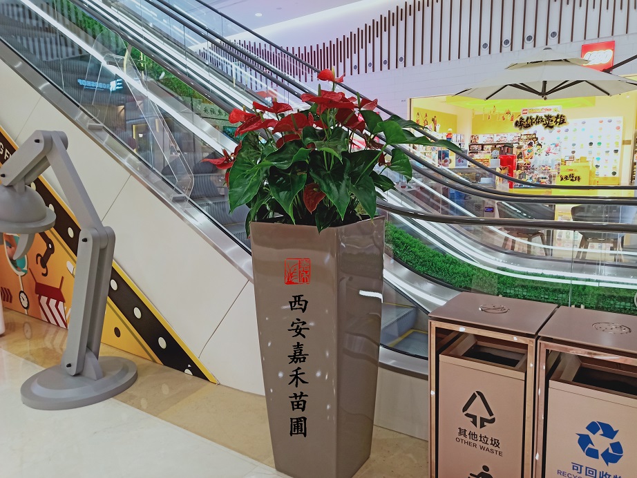 /UploadFiles/image/2020-06-13/5ee4246ed9849.jpg /UploadFiles/image/2020-06-13/5ee4246ed9849.jpg