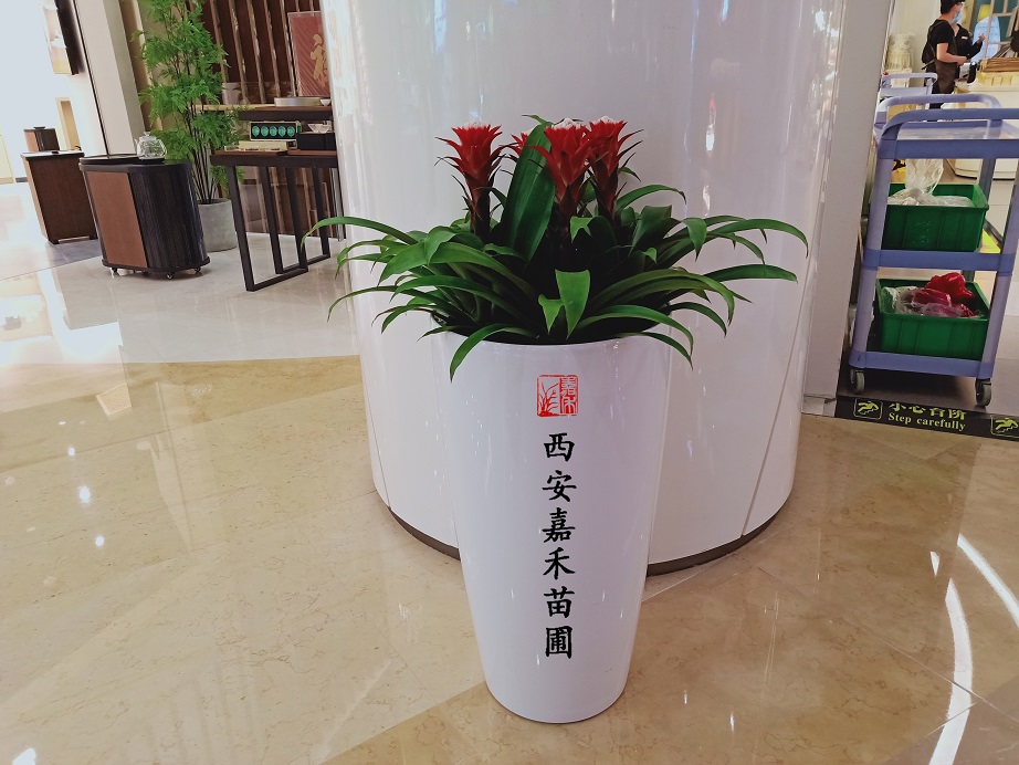 /UploadFiles/image/2020-06-13/5ee4247045686.jpg /UploadFiles/image/2020-06-13/5ee4247045686.jpg