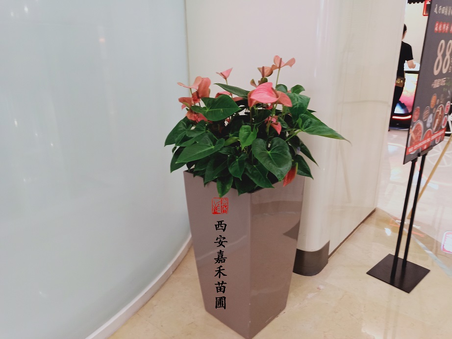 /UploadFiles/image/2020-06-13/5ee42471a44ed.jpg /UploadFiles/image/2020-06-13/5ee42471a44ed.jpg