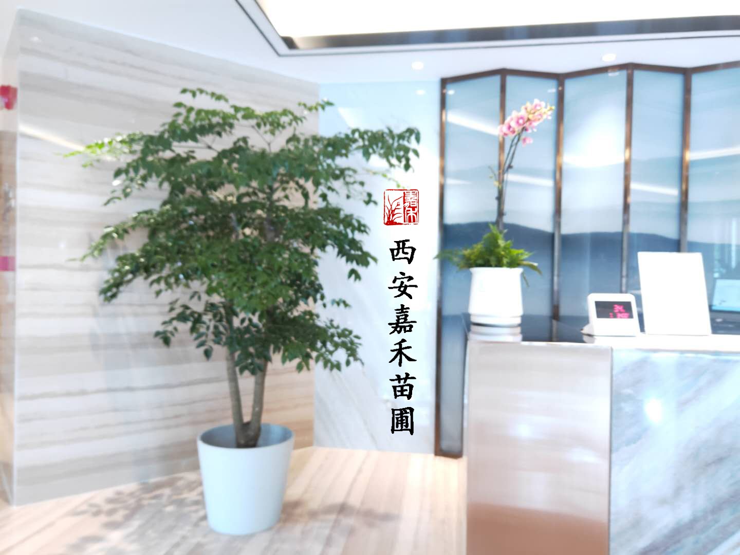 西安辦公室租花.jpg