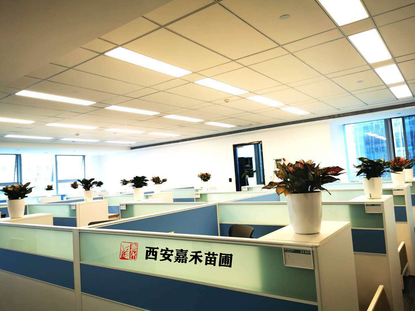 /UploadFiles/image/2020-12-07/5fcd85e618bd0.jpg /UploadFiles/image/2020-12-07/5fcd85e618bd0.jpg