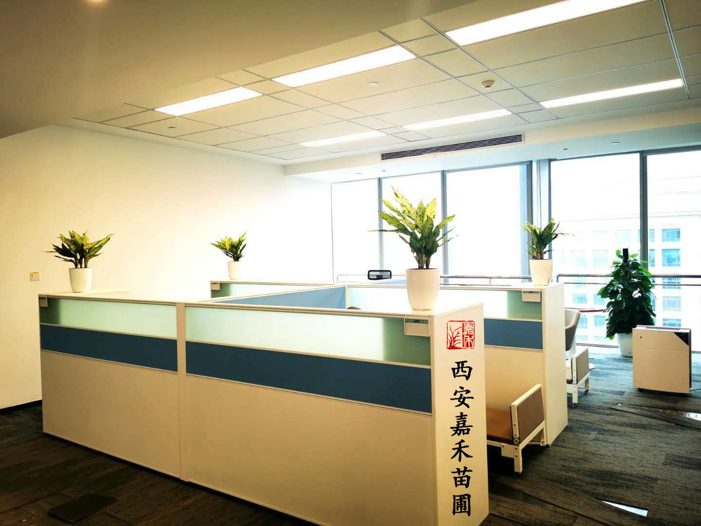 /UploadFiles/image/2020-12-07/5fcd85e786506.jpg /UploadFiles/image/2020-12-07/5fcd85e786506.jpg