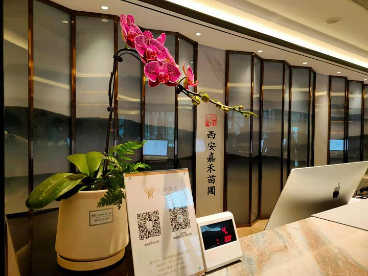 西安蝴蝶蘭租擺租賃 西安蝴蝶蘭租擺租賃