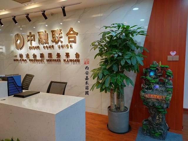 西安嘉禾苗圃發(fā)財樹綠植租賃 西安嘉禾苗圃發(fā)財樹綠植租賃