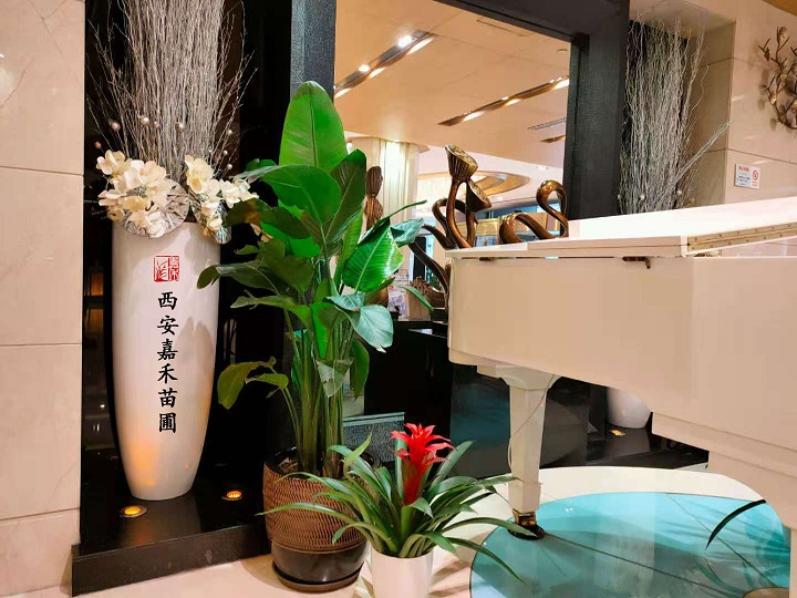 西安嘉禾苗圃鶴望蘭花卉租賃 西安嘉禾苗圃鶴望蘭花卉租賃