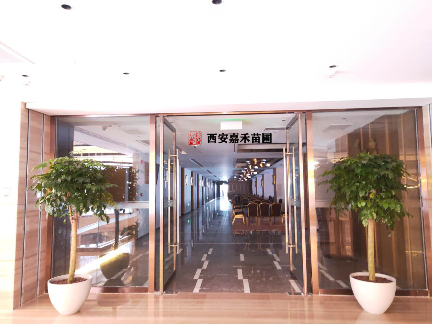 過年假期西安綠植租擺