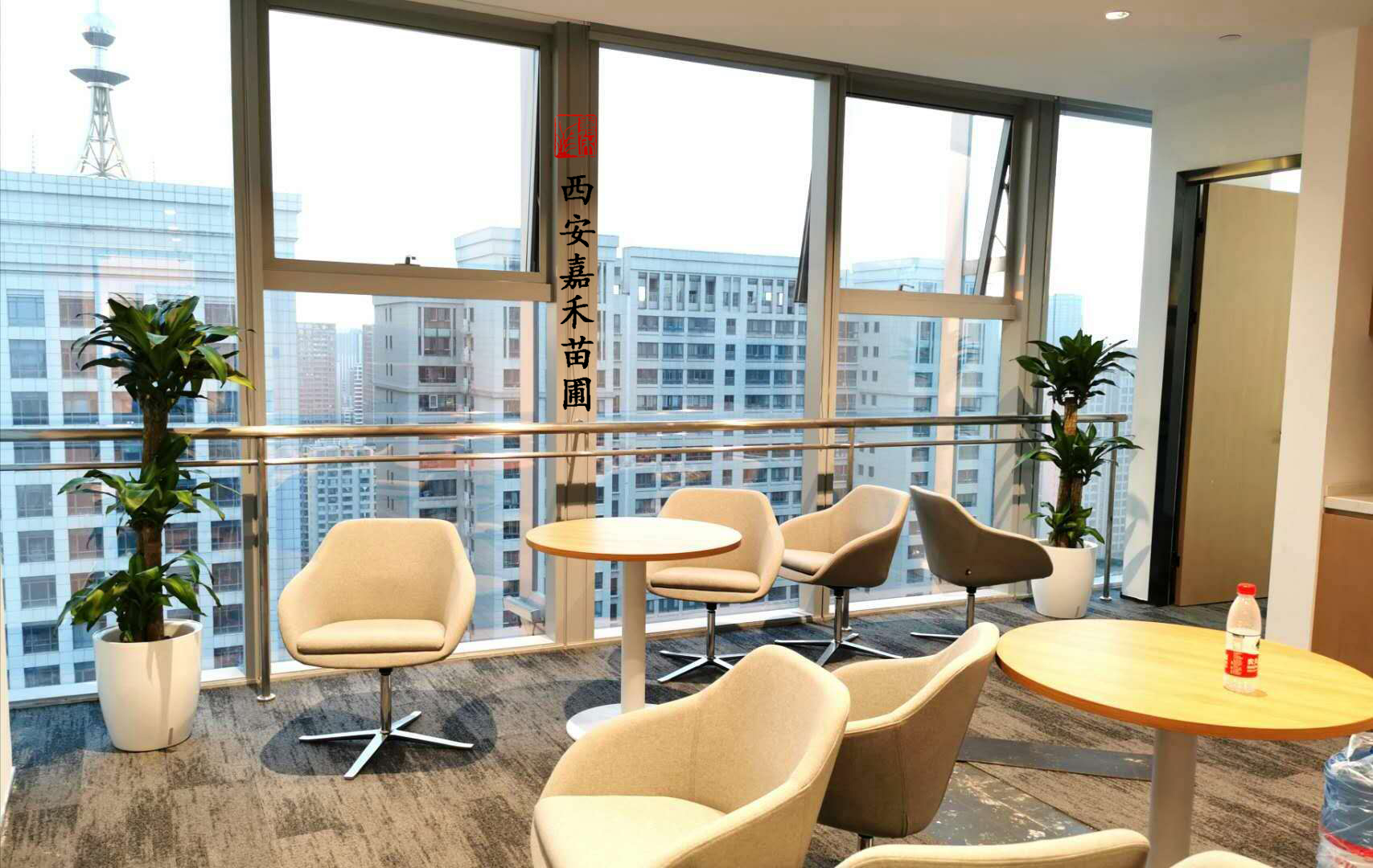 西安優(yōu)質(zhì)花卉租擺公司——嘉禾苗圃