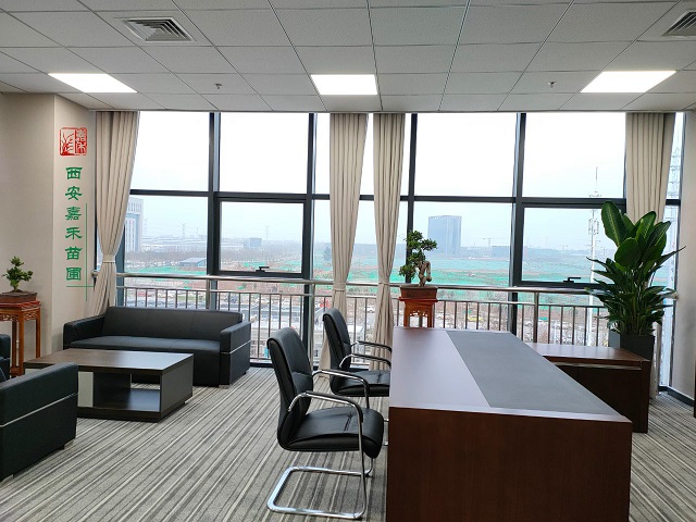 西安辦公室花卉綠植租擺方案|嘉禾苗圃 西安辦公室花卉綠植租擺方案|嘉禾苗圃