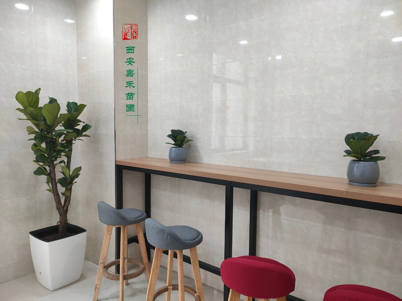 西安綠植租賃公司|嘉禾苗圃