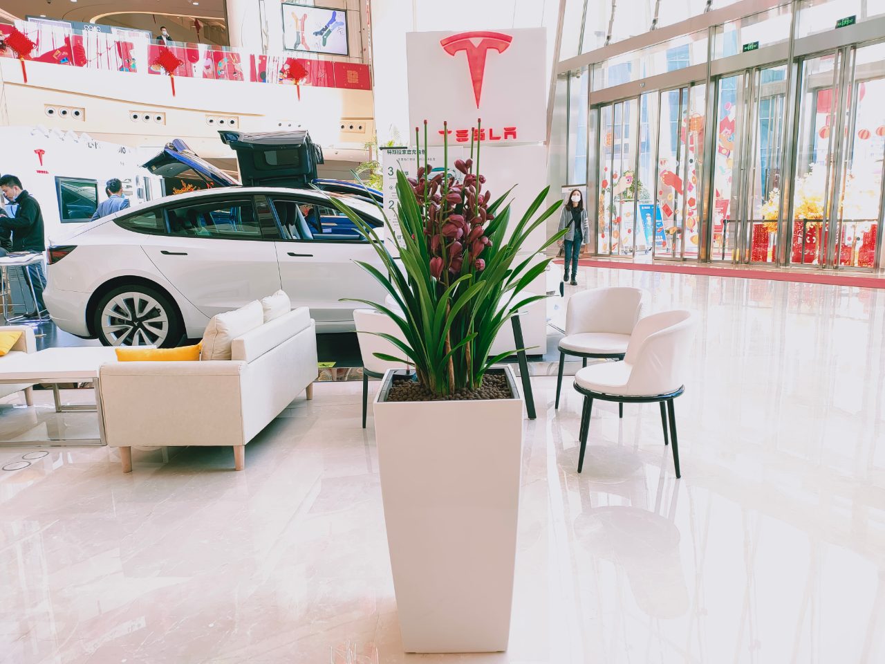 西安綠植租賃公司|嘉禾苗圃