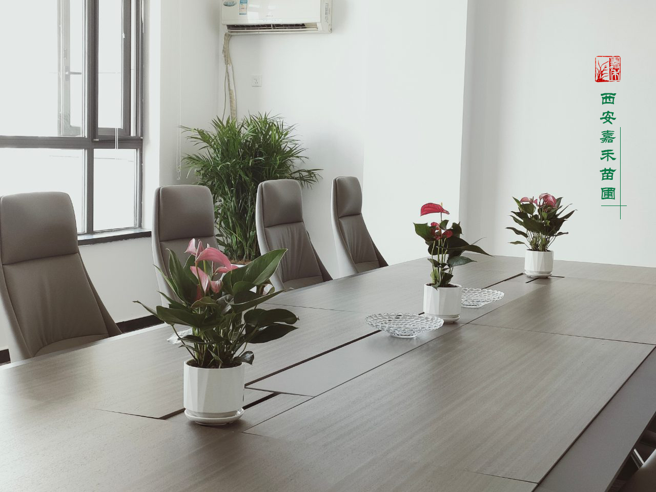 西安綠植租賃報(bào)價(jià)報(bào)大全|嘉禾苗圃