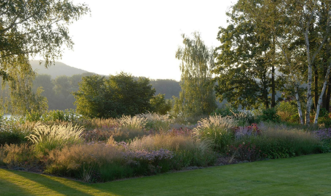 西安綠植租賃方案|嘉禾苗圃