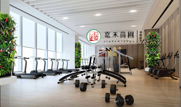 西安酒店綠植租賃效果圖|嘉禾苗圃