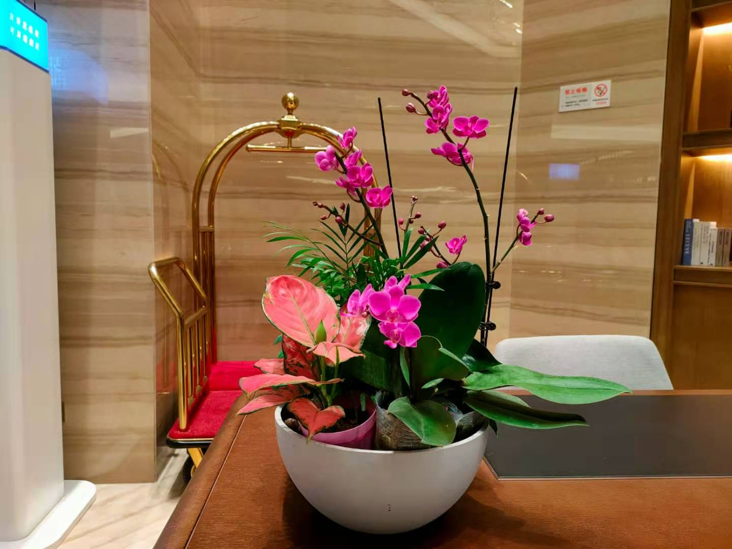 西安花卉租賃|嘉禾苗圃