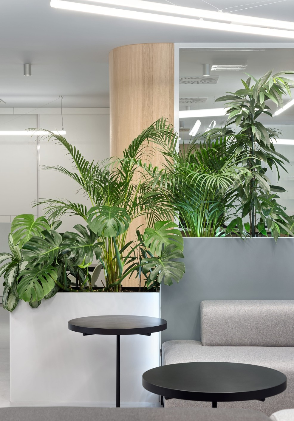 休閑區(qū)綠植租擺方案|嘉禾苗圃