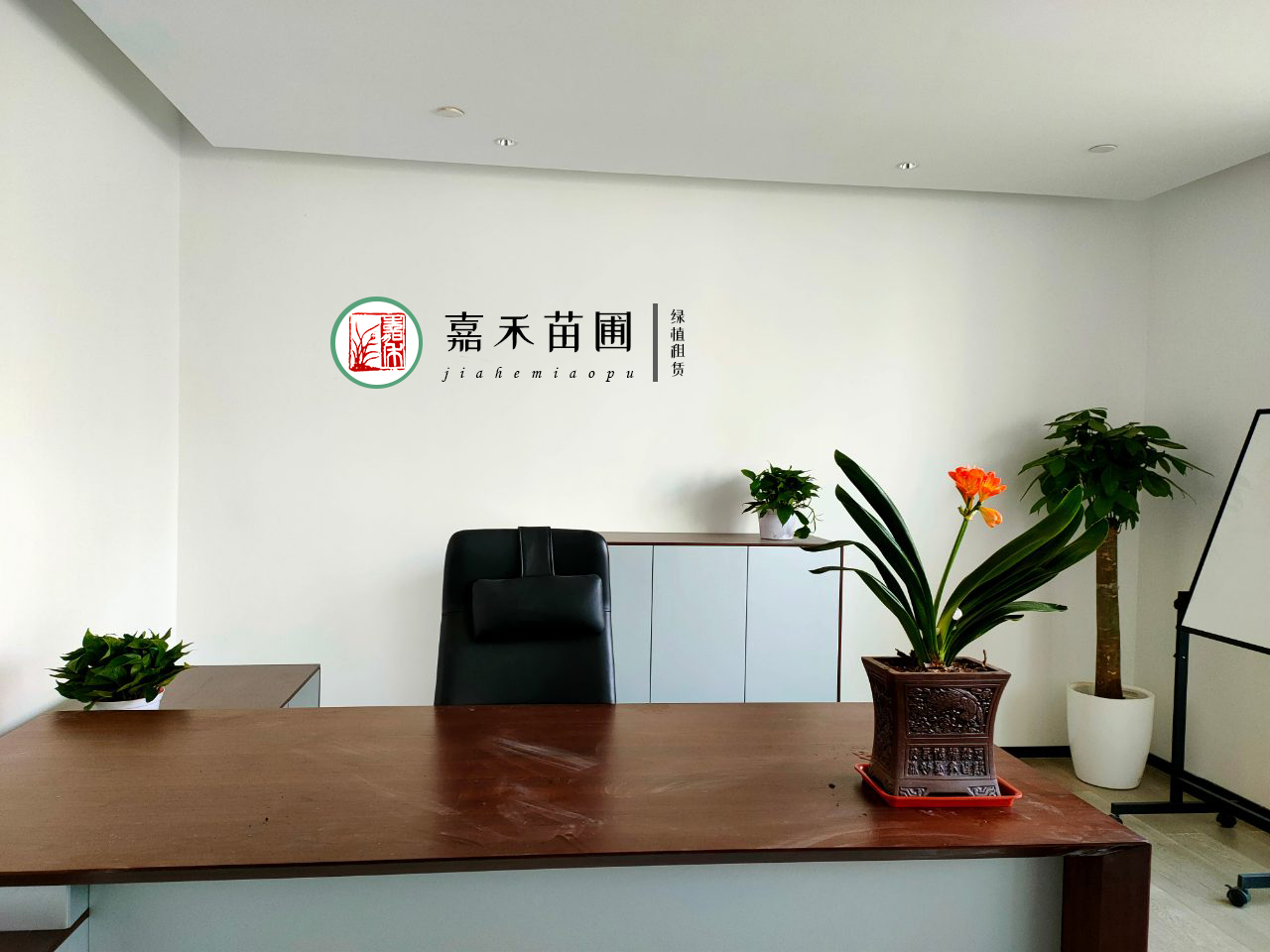 西安花卉租賃夏季養(yǎng)護(hù)|嘉禾苗圃