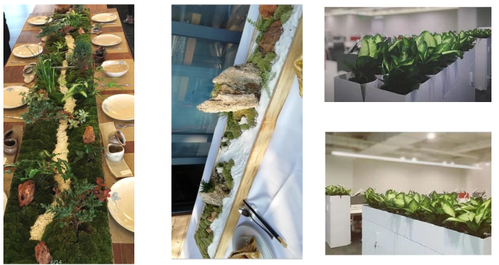 辦公區(qū)花槽設(shè)計|嘉禾苗圃