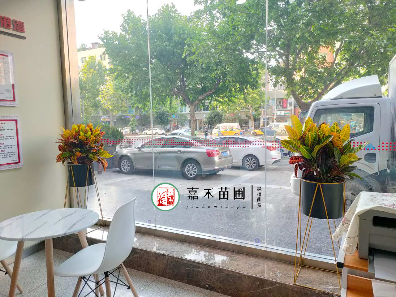 西安花卉租賃|嘉禾苗圃