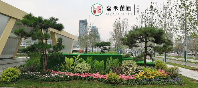 西安室外花境景觀|西安嘉禾苗圃 西安室外花境景觀|西安嘉禾苗圃