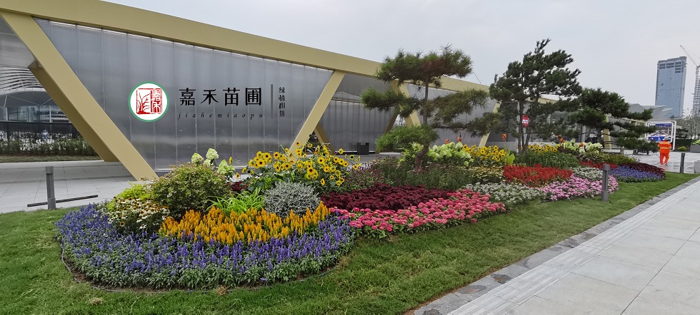 西安花境景觀設(shè)計|西安嘉禾苗圃 西安花境景觀設(shè)計|西安嘉禾苗圃