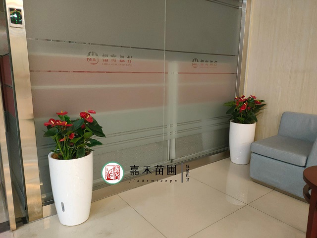 西安花卉租賃|嘉禾苗圃