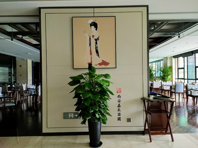 西安租賃綠植|西安嘉禾苗圃