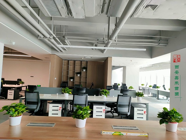 西安辦公會(huì)議綠植租賃：嘉禾苗圃