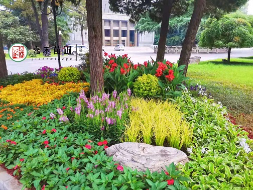 西安花境景觀設(shè)計|嘉禾苗圃 西安花境景觀設(shè)計|嘉禾苗圃