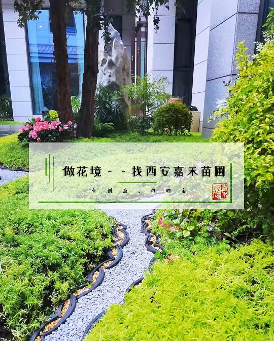 西安花境景觀擺放|嘉禾苗圃 西安花境景觀擺放|嘉禾苗圃