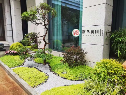 西安花堆擺放設(shè)計|嘉禾苗圃 西安花堆擺放設(shè)計|嘉禾苗圃