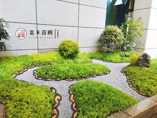 西安花境花堆設(shè)計|嘉禾苗圃 西安花境花堆設(shè)計|嘉禾苗圃