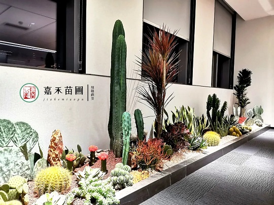 西安造型花堆租擺租賃|嘉禾苗圃 西安造型花堆租擺租賃|嘉禾苗圃