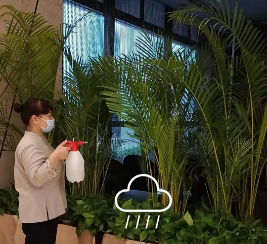 西安綠植租擺植物怎么施肥|西安嘉禾苗圃