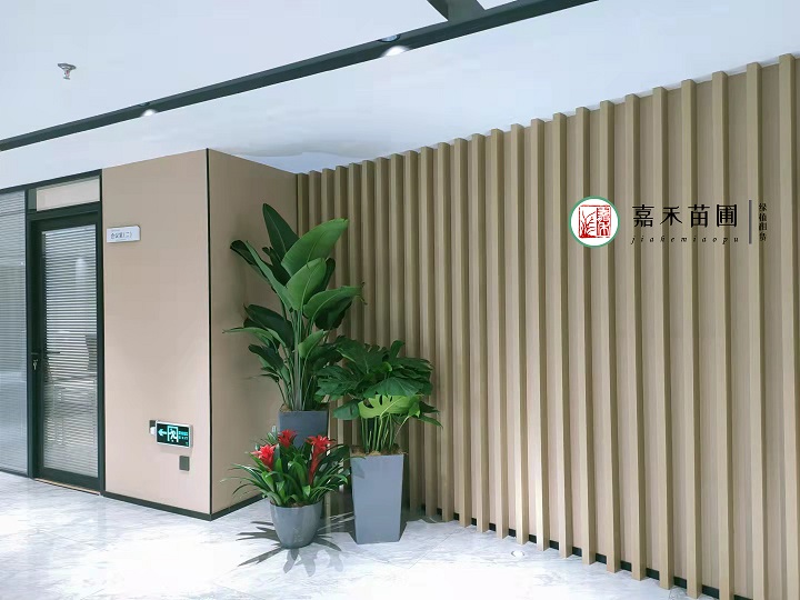 西安辦公室綠植租擺|嘉禾苗圃