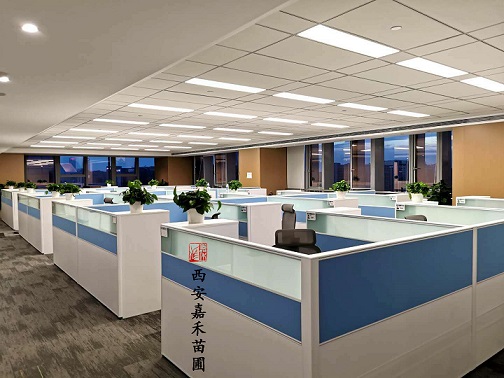 西安花卉租擺案例|西安嘉禾苗圃