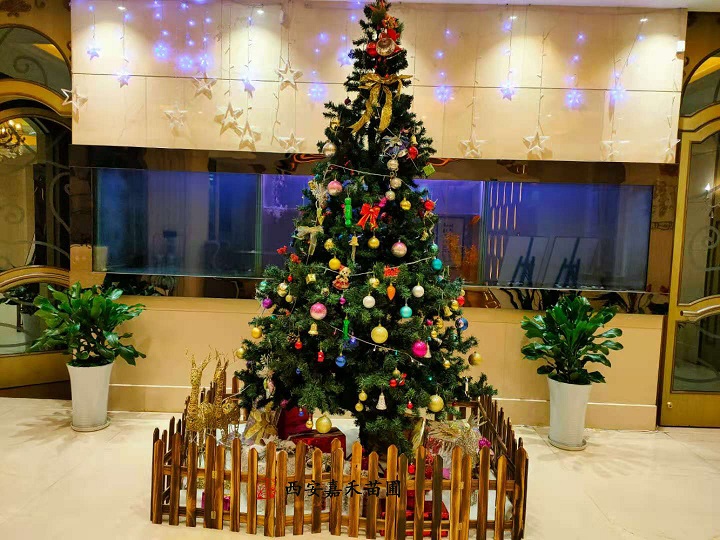 西安節(jié)日花卉綠植租擺|嘉禾苗圃