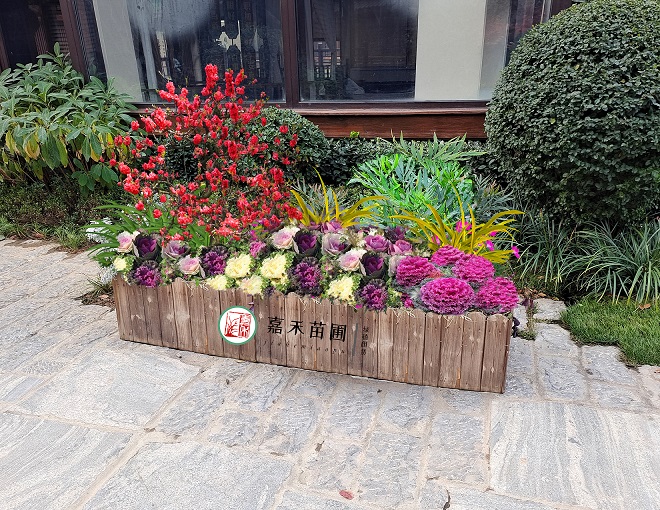 西安花卉租擺公司|西安嘉禾苗圃