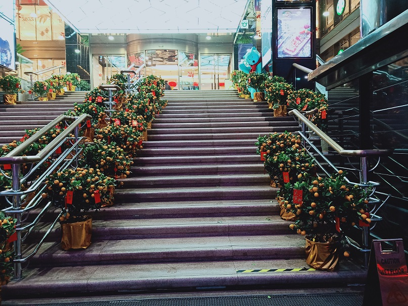西安花卉租擺金桔|西安嘉禾苗圃