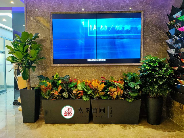 /UploadFiles/image/2022-03-14/622e9cbd44b71.jpg 微信圖片_202109170910347.jpg