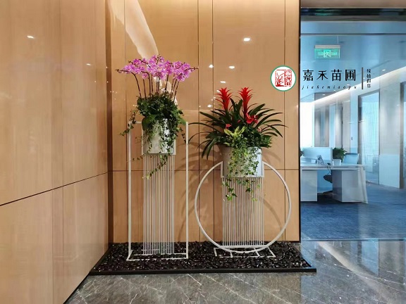 西安花卉租擺|西安嘉禾苗圃 西安花卉租擺|西安嘉禾苗圃