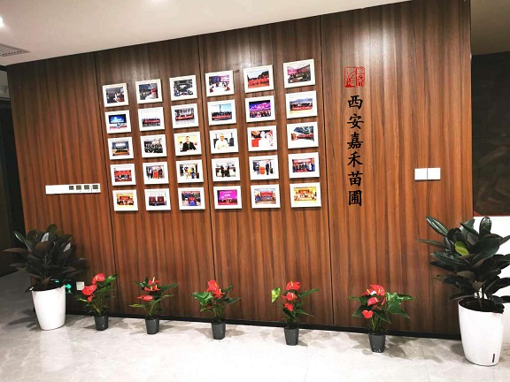 西安盆栽綠植租擺價格|嘉禾苗圃