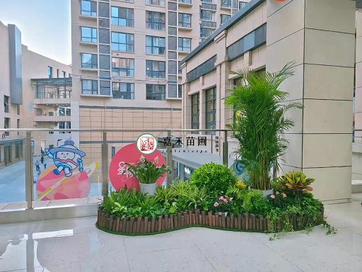 西安商場(chǎng)花堆造型方案|西安嘉禾苗圃 西安商場(chǎng)花堆造型方案|西安嘉禾苗圃