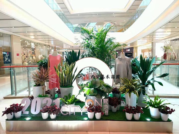 西安商場綠植租賃|西安嘉禾苗圃 西安商場綠植租賃|西安嘉禾苗圃