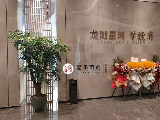 西安花卉綠植租賃價格|西安嘉禾苗圃 西安花卉綠植租賃價格|西安嘉禾苗圃