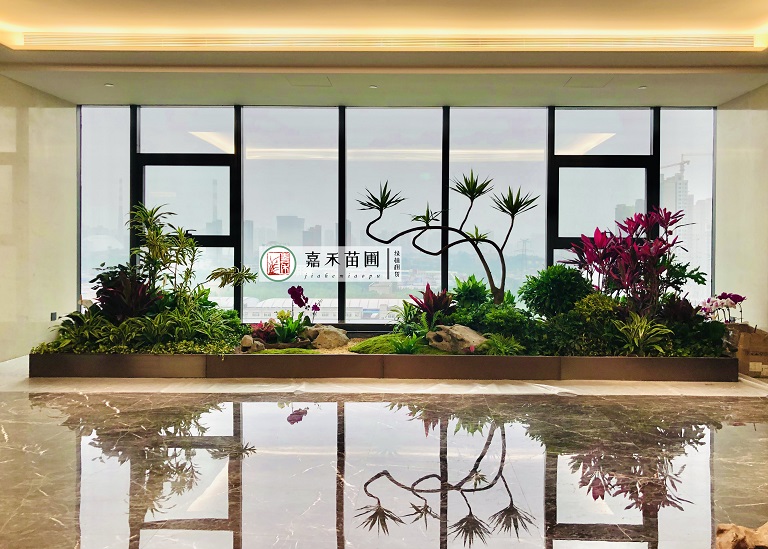 西安花卉綠植租賃定制設(shè)計(jì)|西安嘉禾苗圃 西安花卉綠植租賃定制設(shè)計(jì)|西安嘉禾苗圃