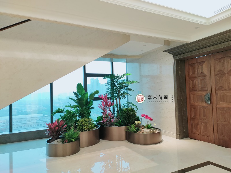 西安高端定制花卉綠植租賃|西安嘉禾苗圃 西安高端定制花卉綠植租賃|西安嘉禾苗圃