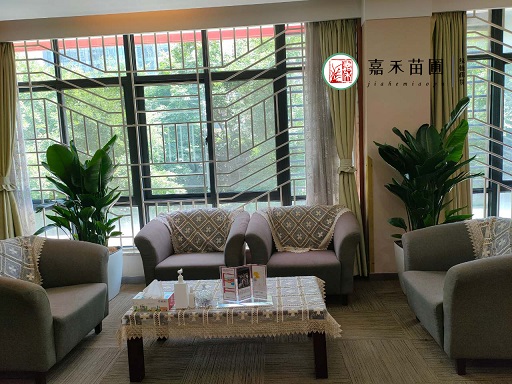 西安接待室花卉綠植租擺|西安嘉禾苗圃 西安接待室花卉綠植租擺|西安嘉禾苗圃