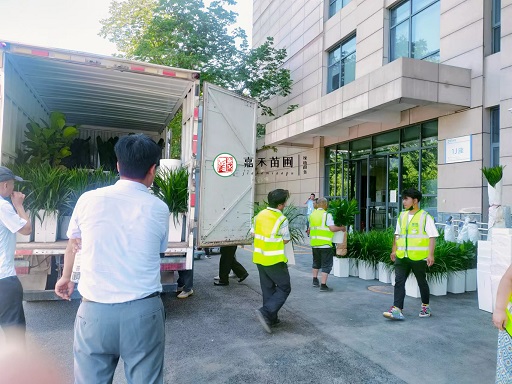 西安鮮花綠植租擺|西安嘉禾苗圃